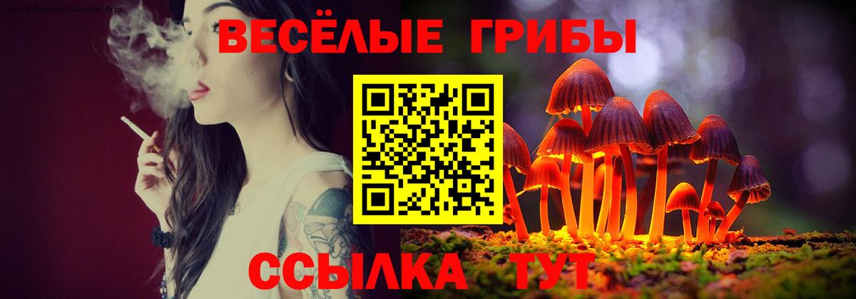 Псилоцибиновые грибы мицелий  Галлюциногенные грибы MAGIC MUSHROOMS  Сердобск  Вход с VPN 